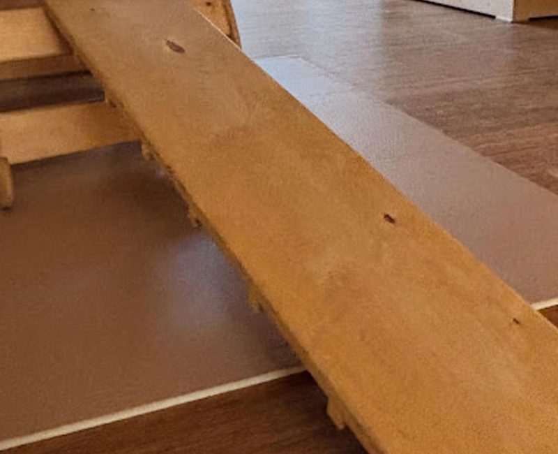 Peuterspeelkamer de kleine kapoenen