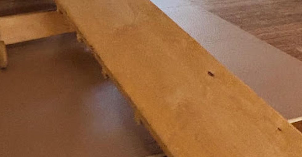 Peuterspeelkamer de kleine kapoenen