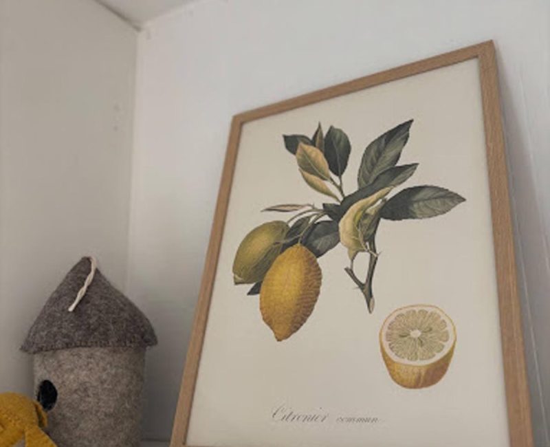 Schilderij de kleine kapoenen