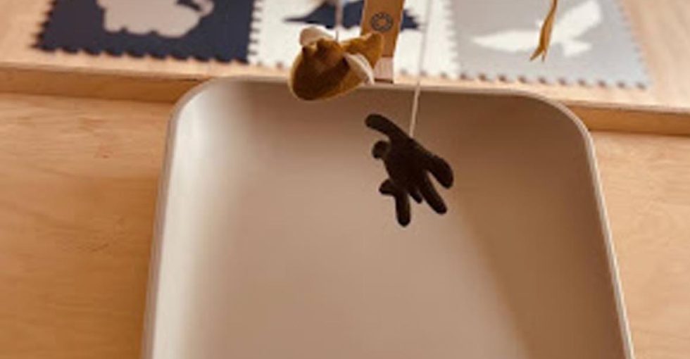 Speelmat de kleine kapoenen